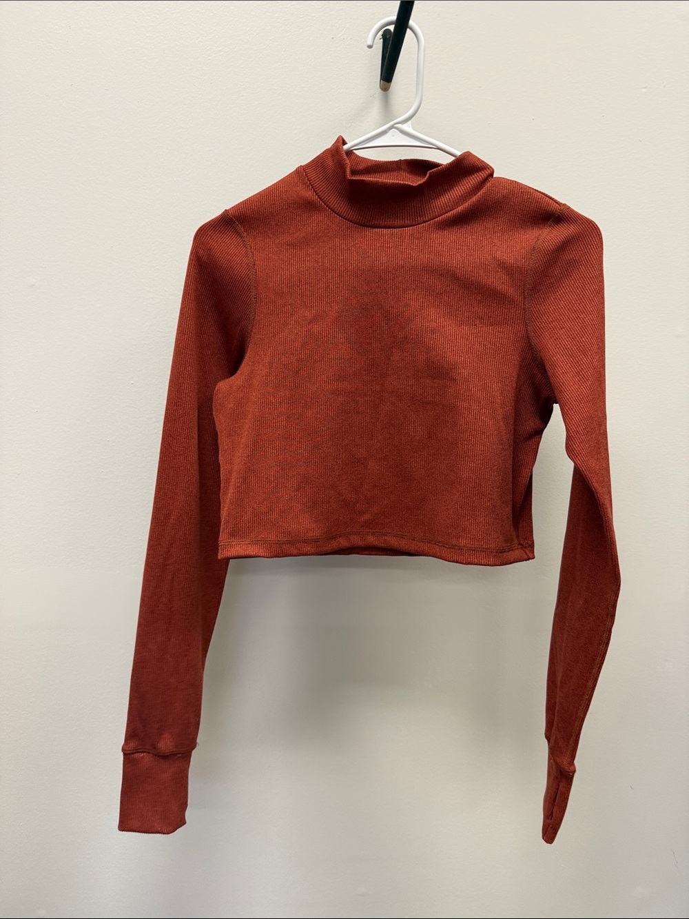 aerie Rust Mock Neck Cropped Long Sleeve Top
